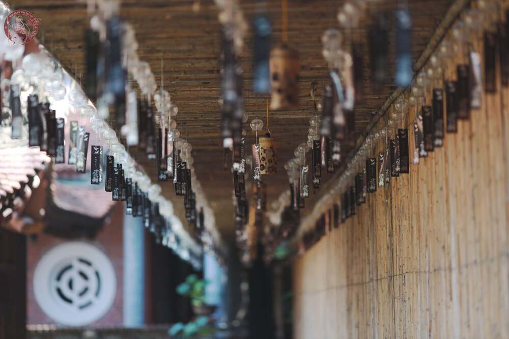 Nuôi dưỡng hạt giống thiện lành