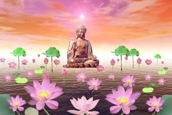 Tâm không thanh tịnh không thể vãng sanh 1