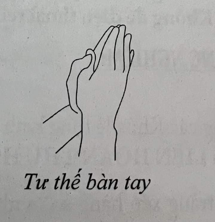 Hướng dẫn chắp tay, ngồi, quỳ, lễ Phật đúng cách cho Phật tử
