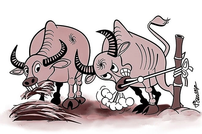 Tùy hỷ công đức 2