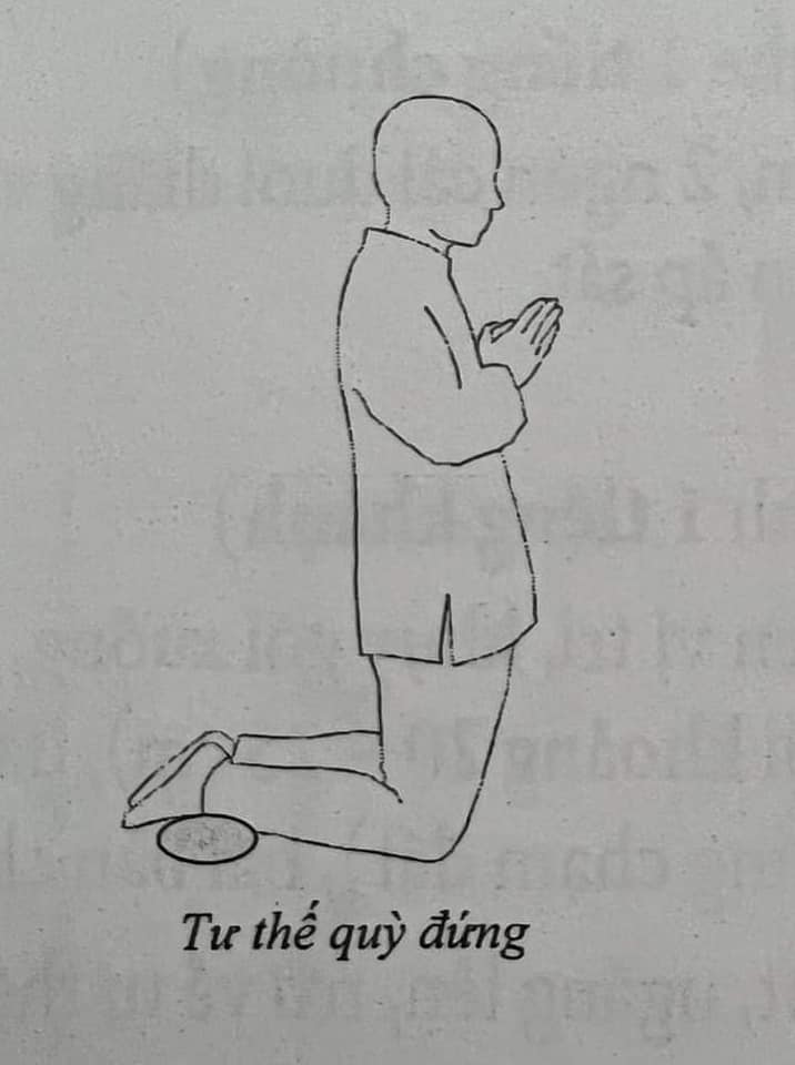 Hướng dẫn chắp tay, ngồi, quỳ, lễ Phật đúng cách cho Phật tử