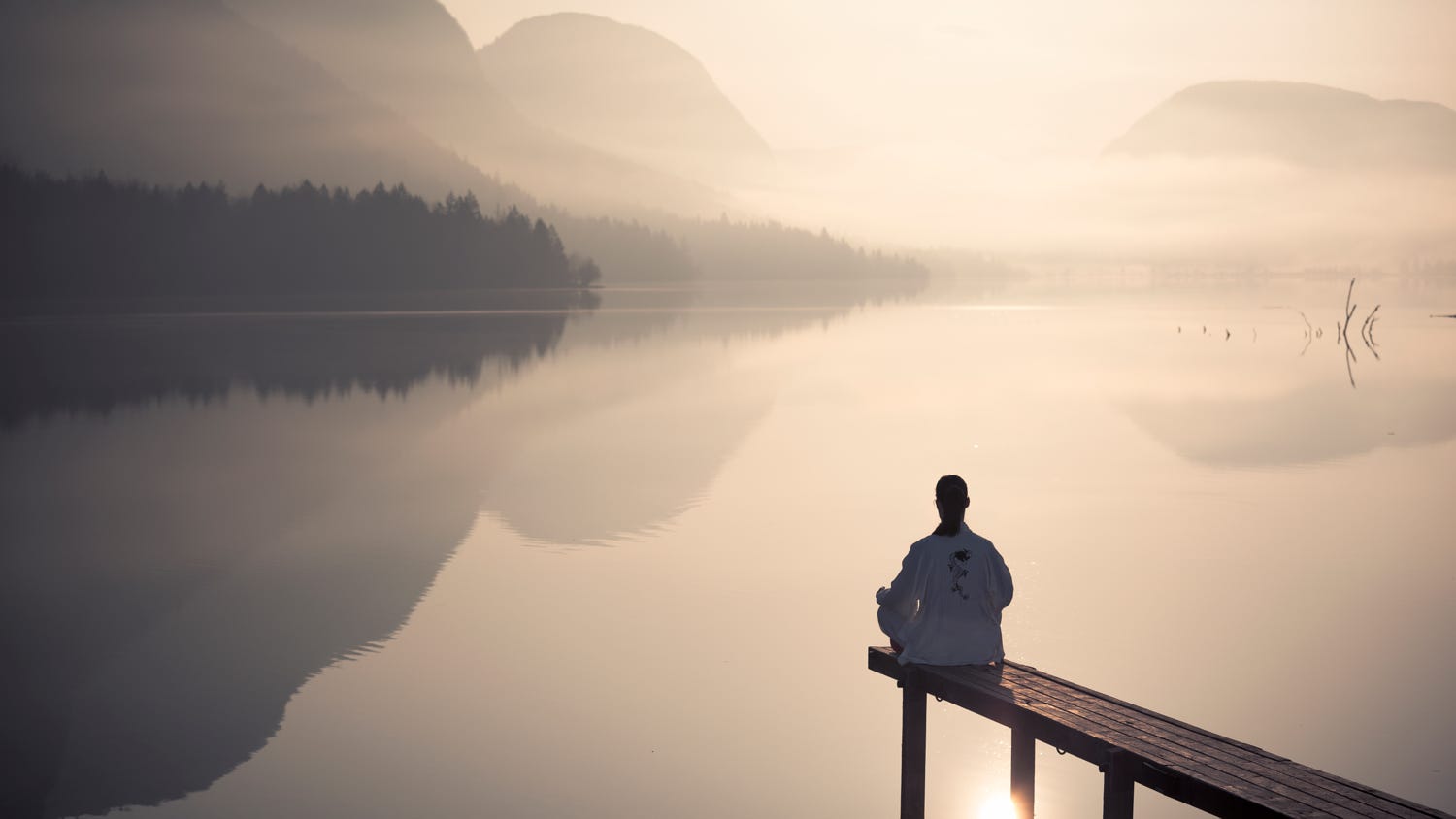 Hạnh phúc trong bóng đêm 2