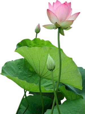 0d9c299b 2c0a 402d 8686 c110b3b9d393 0459 1