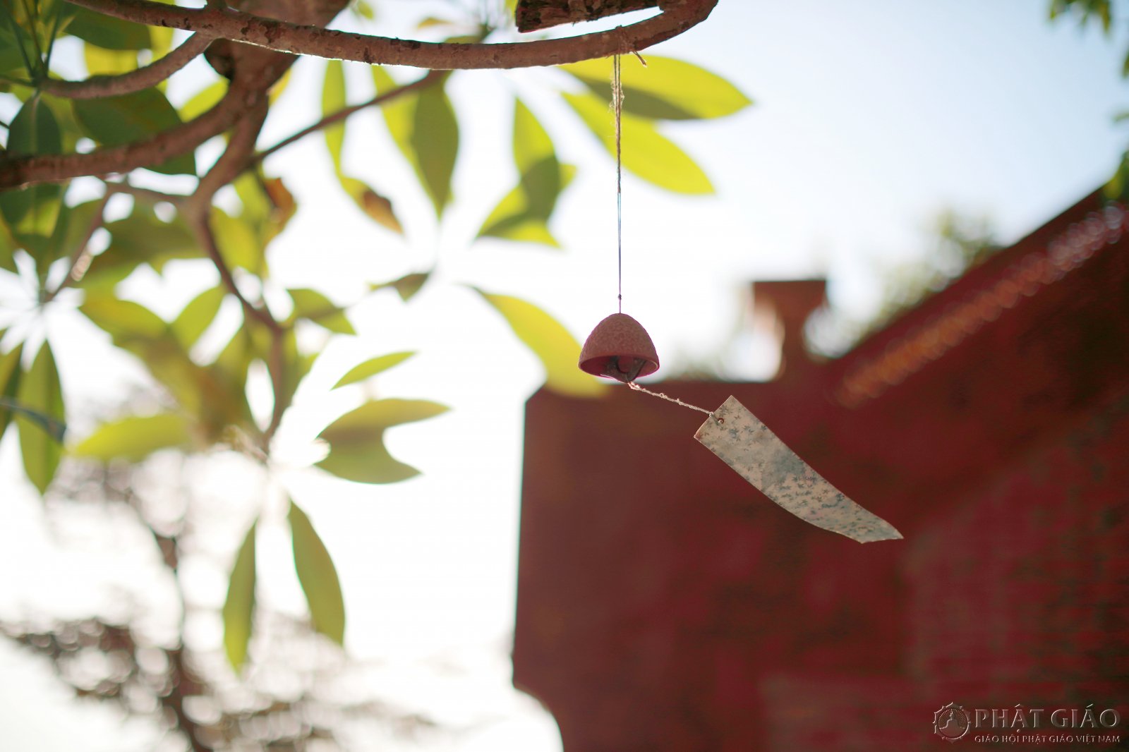 Tiếng chuông gió như khúc nhạc tiễn đưa