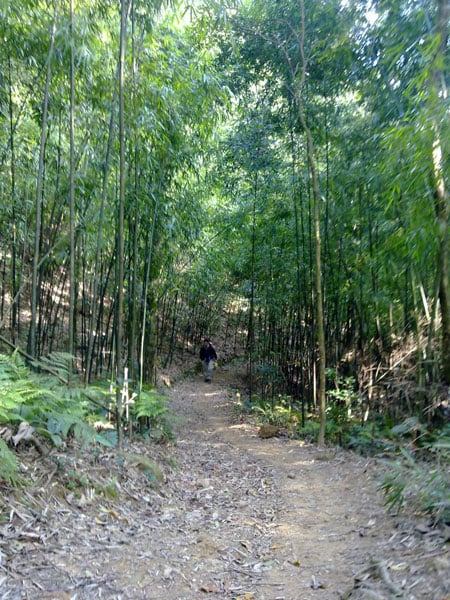 Con đường mòn dẫn vào Chùa Địa Ngục