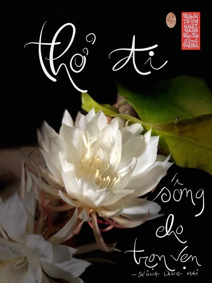 107505325 1360959660761591 8292305501043174763 n 0814 1