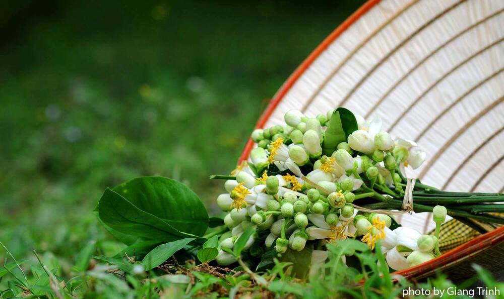 Sự hồn nhiên và trí tuệ dẫn đến bình an