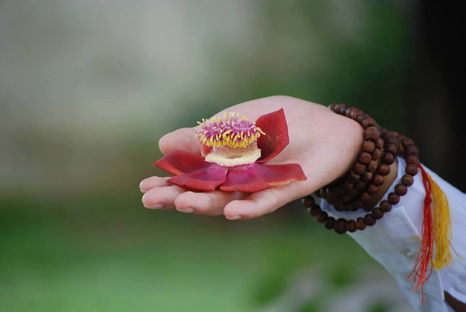 Người ngu biết mình ngu, là người trí 1