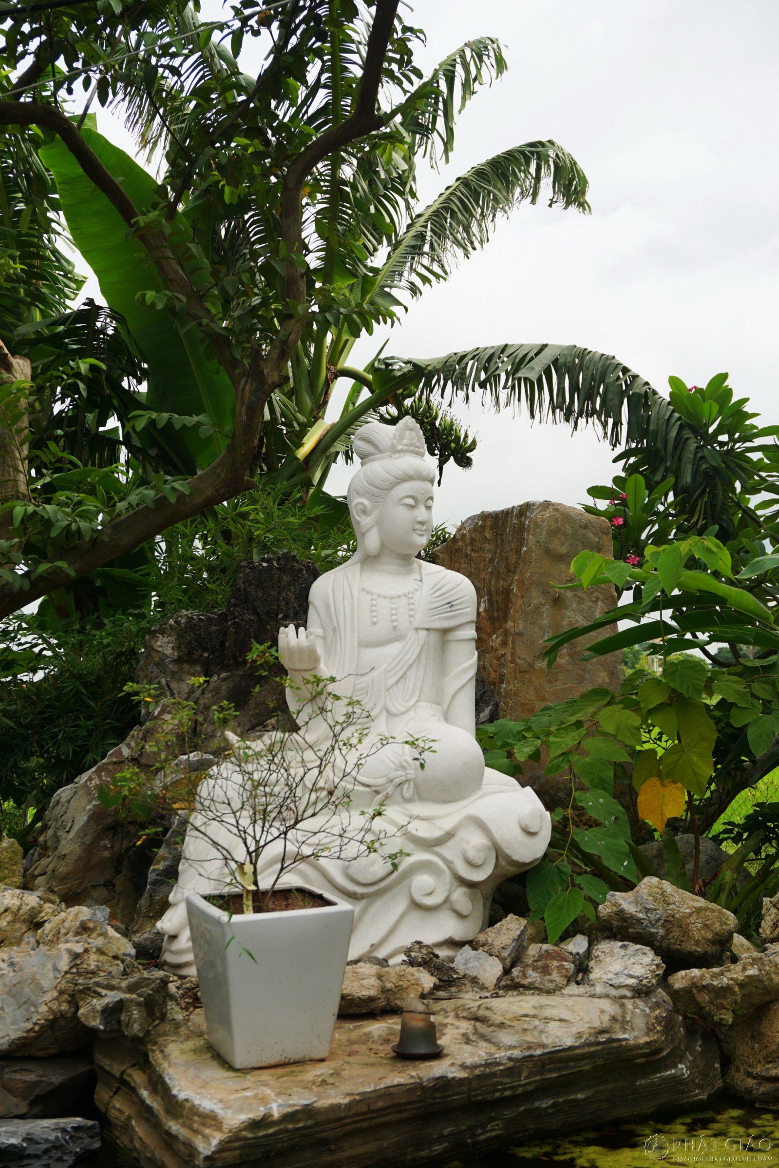 Không gian Thiền vị Anh Linh Tự - Ngôi chùa 300 năm tuổi ở Hà Nam 18