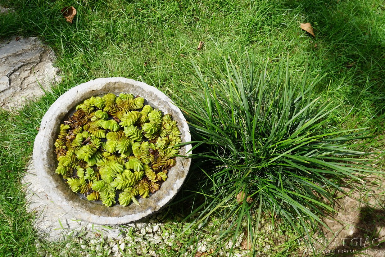 Không gian Thiền vị Anh Linh Tự - Ngôi chùa 300 năm tuổi ở Hà Nam 22