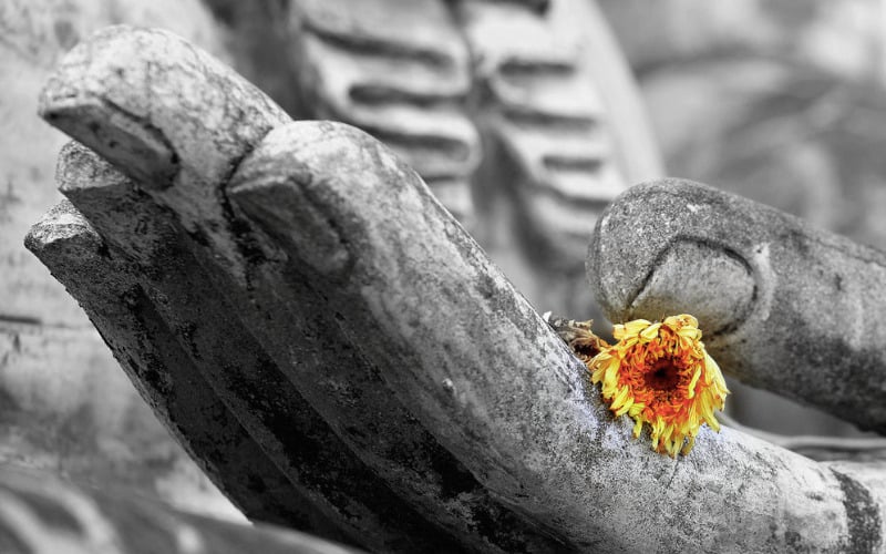 Duyên phận vợ chồng là ý trời hay tại lòng người?