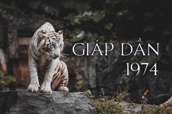 1697016765 picture1 1