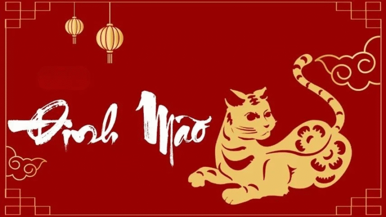 1718033699 picture1 1