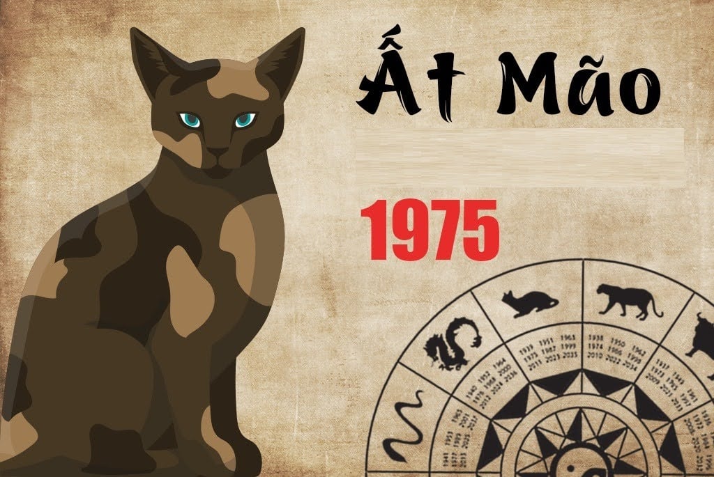 1731505459 unnamed205