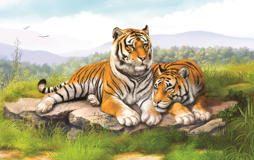 1731679951 unnamed2090