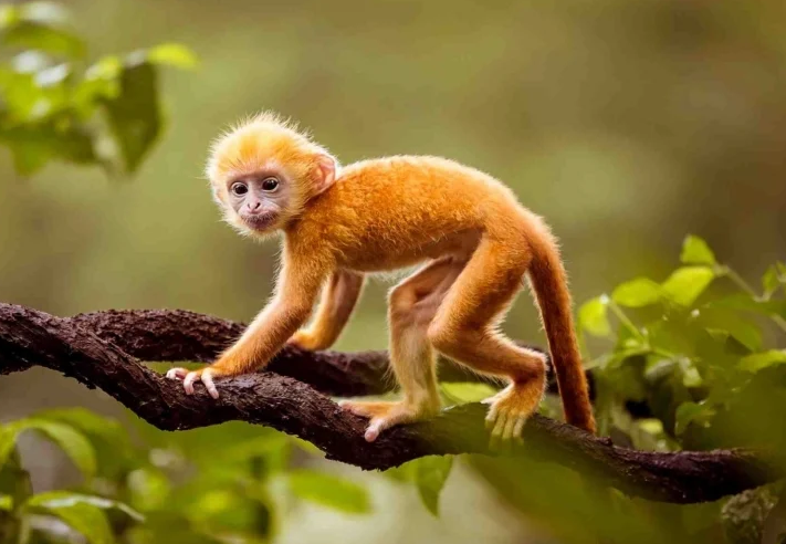 1731679962 unnamed2089