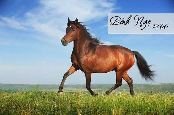 Người tuổi Mậu Tuất 1958 được cho là hợp tuổi xông đất cho gia chủ Bính Ngọ 1966