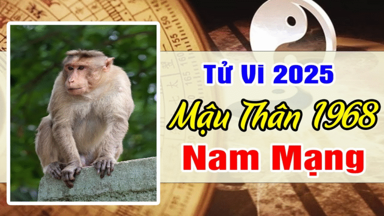 1731711204 picture5 1