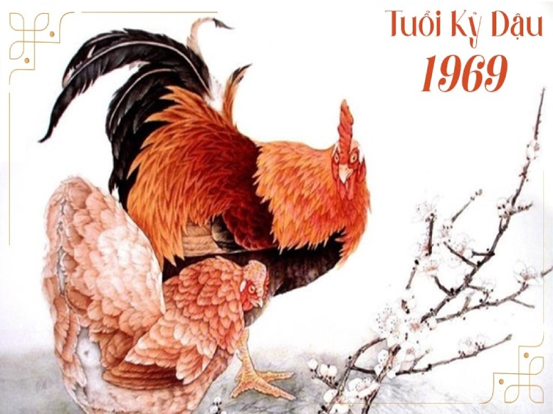 1731902786 unnamed209