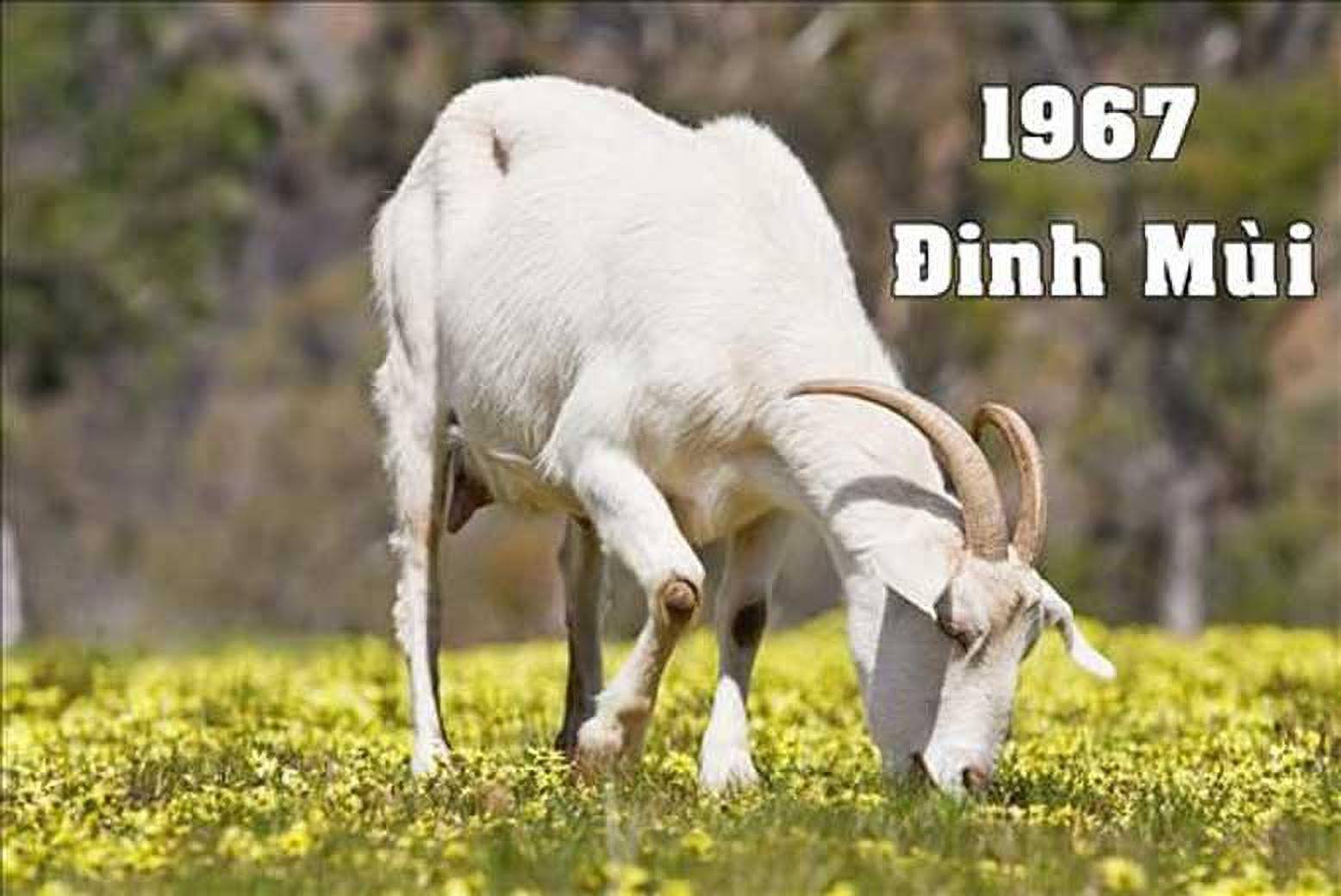 1731989894 unnamed2022