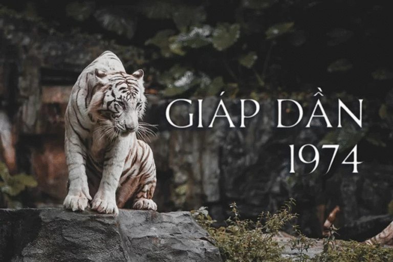 1974 Giáp Dần: Màu Hợp & Kỵ - Đón Vận May, Tránh Tai Họa 2 1731990375 unnamed2053 1