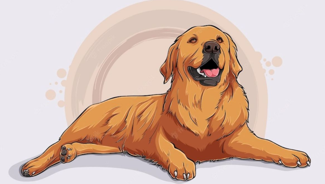 1732028858 unnamed2069