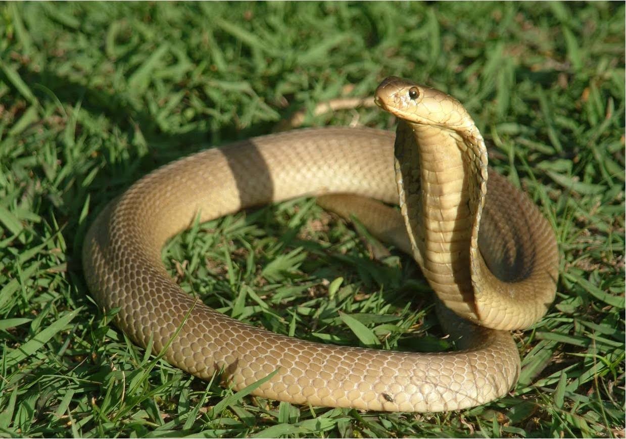 1732031096 unnamed2038