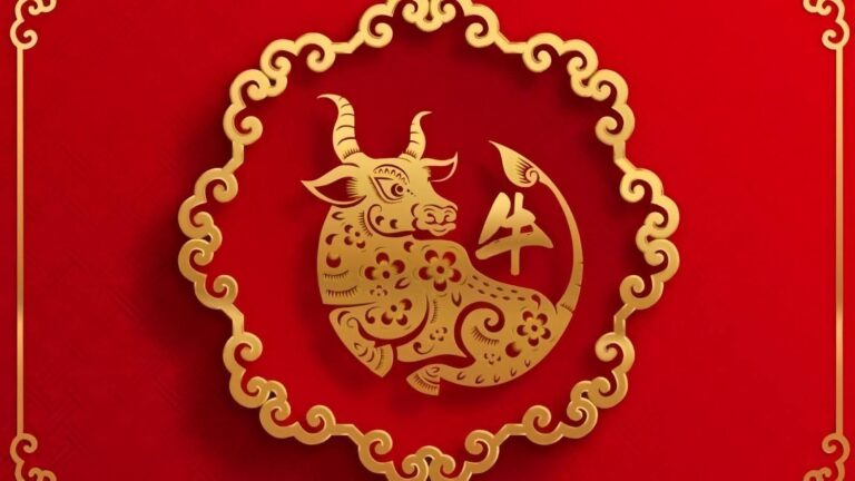 1732031393 unnamed2043 1