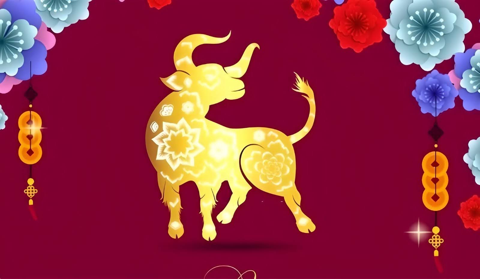 1732031444 unnamed2041