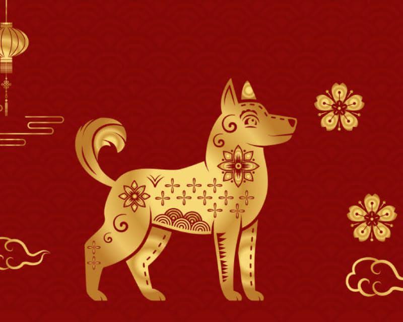 1732031817 unnamed2046