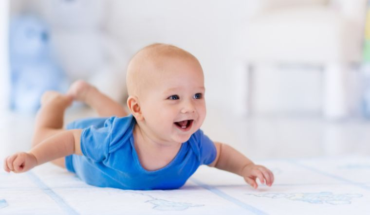 1732118701 unnamed20 202024 11 20t230431 189