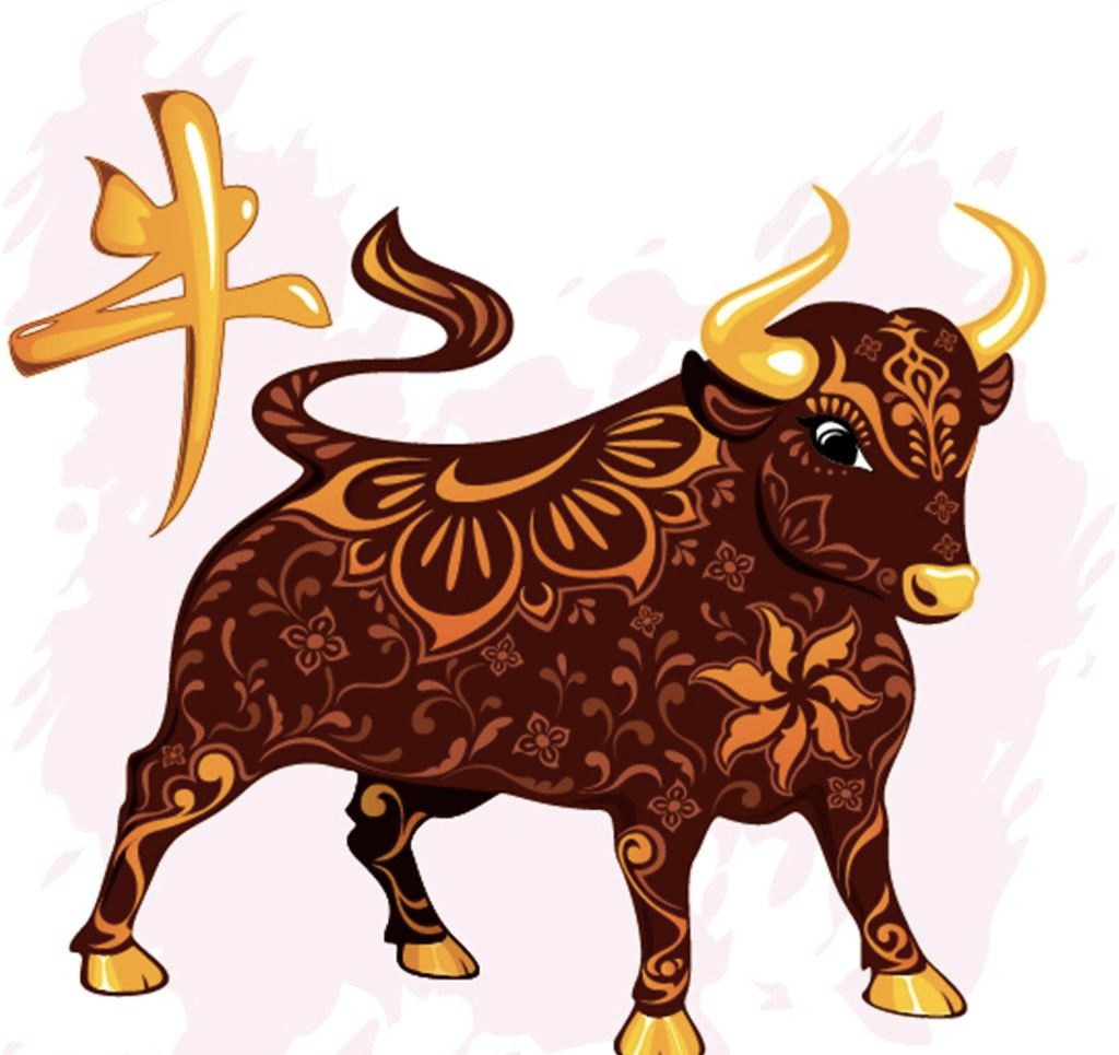 1732159119 unnamed20 202024 11 21t101830 940