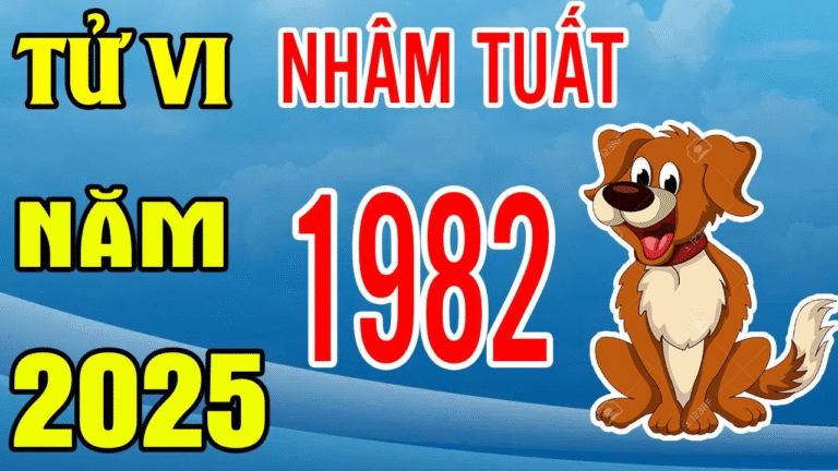 1732174296 unnamed203 1