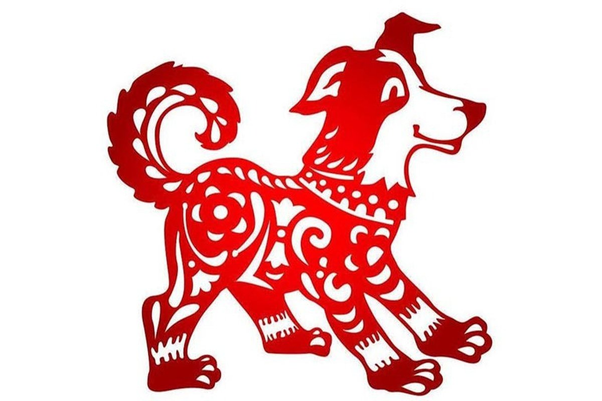 1732201510 unnamed207