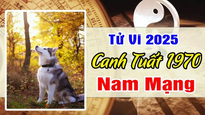 1732201526 unnamed205