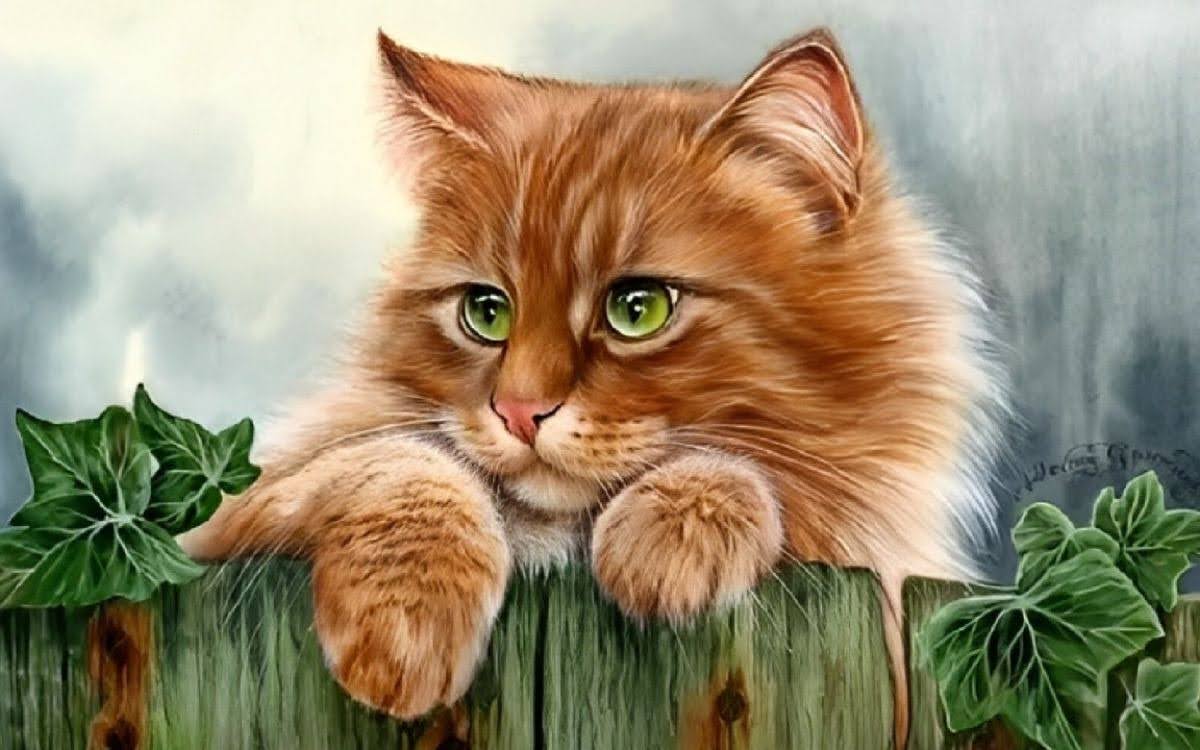 1732203496 unnamed2010