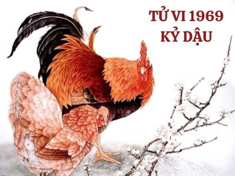 1732509988 unnamed2044 1