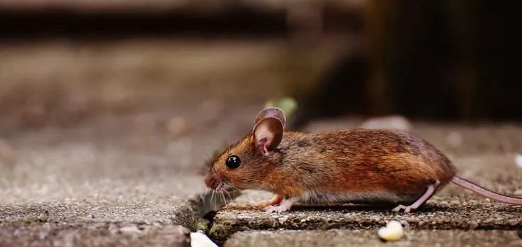 1732799138 unnamed20 202024 11 28t200525 970 1