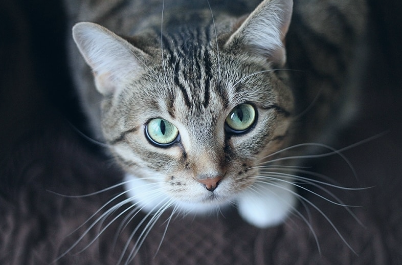 1732799149 unnamed20 202024 11 28t200521 052