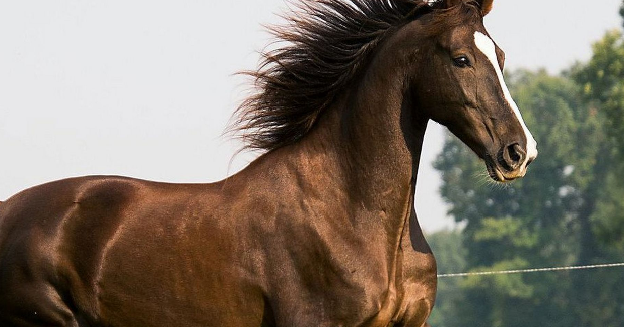 1732799162 unnamed20 202024 11 28t200515 504