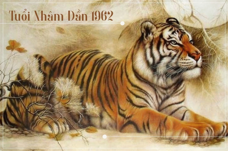 1732801042 unnamed20 202024 11 28t203712 208 1