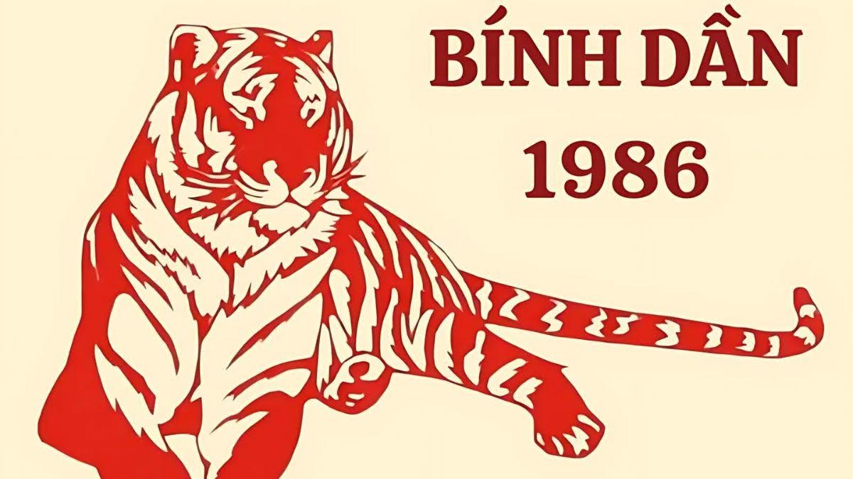 1733201626_unnamed2070 1733201626 unnamed2070