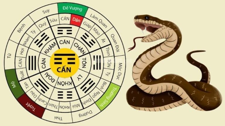 1733304791 unnamed2036 1