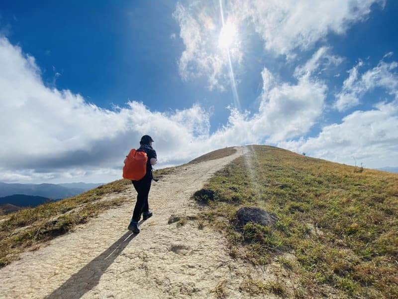 1733373992 unnamed20 202024 12 05t114557 297