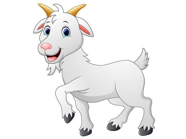 Tuổi Mùi cần chú trọng sức khỏe 1736219126 unnamed20 202025 01 07t100444 670