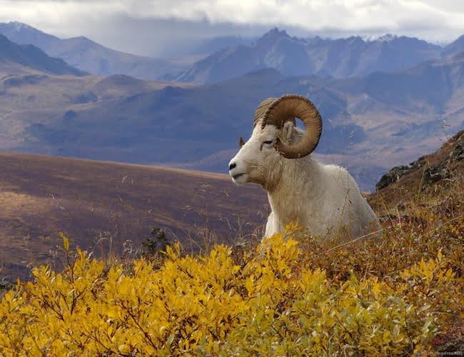 1736909050 unnamed20 202025 01 15t094014 320