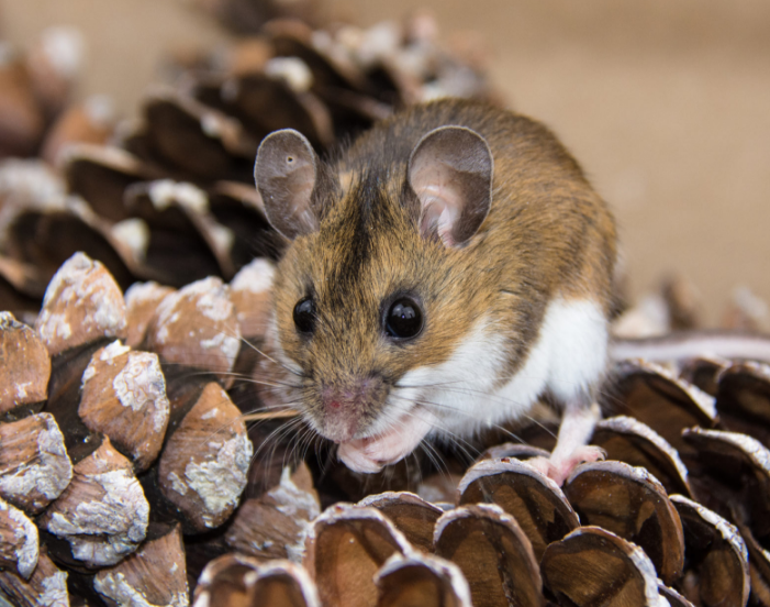 1740383169 unnamed20 202025 02 24t144554 552 1