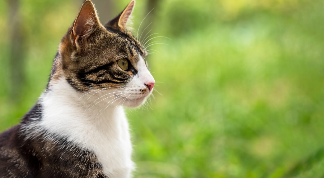 1740383188 unnamed20 202025 02 24t144547 568