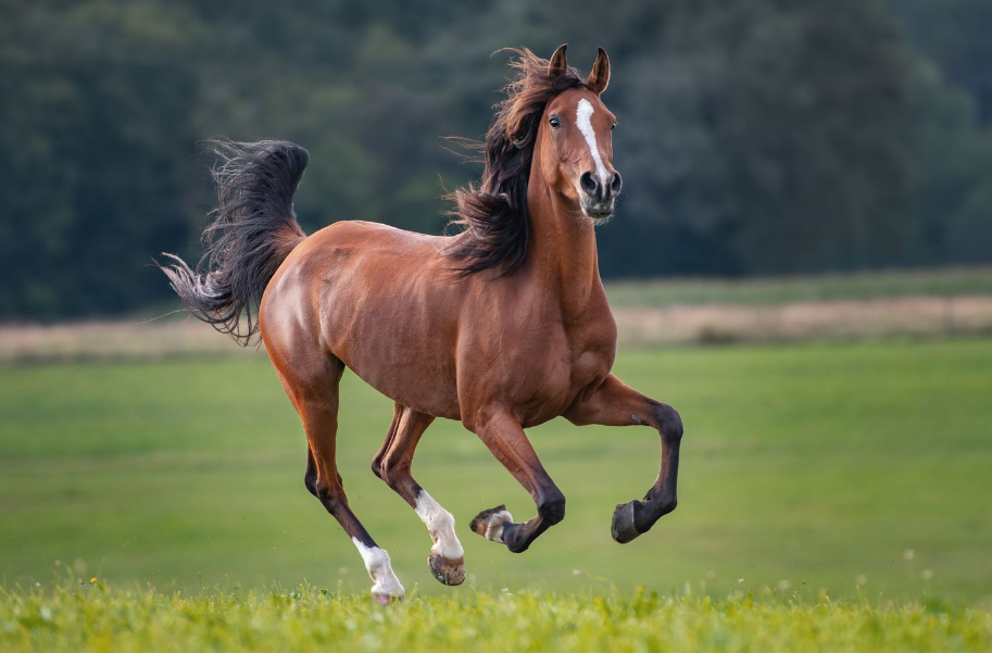 1740383207 unnamed20 202025 02 24t144539 854