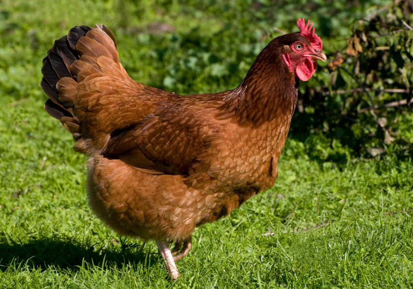 1740383222 unnamed20 202025 02 24t144531 831